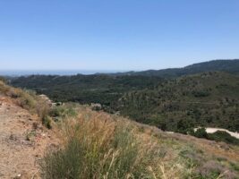 Land for sale in Benahavís