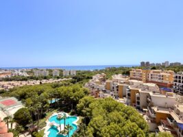 Apartment for sale in Campoamor