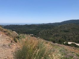 Land for sale in Benahavís